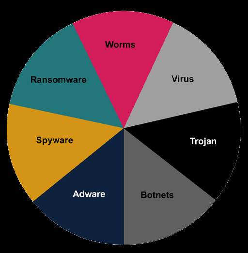 Virus Classification Illustration